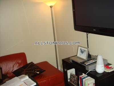 Allston Apartment for rent 1 Bedroom 1 Bath Boston - $2,500