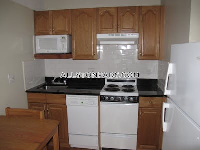 Allston Apartment for rent Studio 1 Bath Boston - $2,100 No Fee