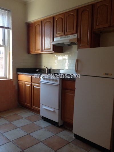 Allston/brighton Border Apartment for rent 1 Bedroom 1 Bath Boston - $2,000