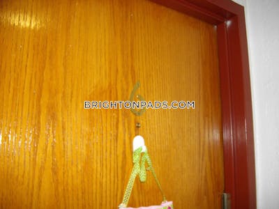 Brighton Apartment for rent 3 Bedrooms 1 Bath Boston - $3,700 No Fee