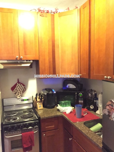 Mission Hill Apartment for rent 1 Bedroom 1 Bath Boston - $2,500