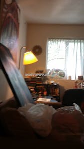 Northeastern/symphony Apartment for rent 2 Bedrooms 1 Bath Boston - $3,200