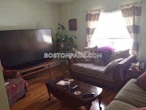 Brighton Apartment for rent 1 Bedroom 1 Bath Boston - $1,800