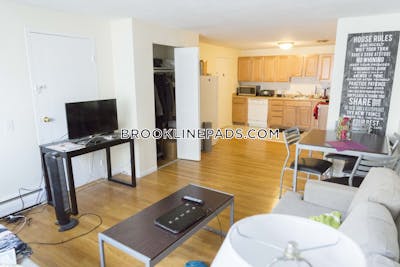 Brookline Apartment for rent 2 Bedrooms 1 Bath  Coolidge Corner - $3,700