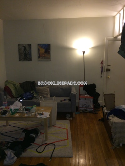 Brookline Apartment for rent 1 Bedroom 1 Bath  Washington Square - $2,350 No Fee