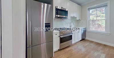 Brighton 1 Bed 1 Bath BOSTON Boston - $3,500 No Fee