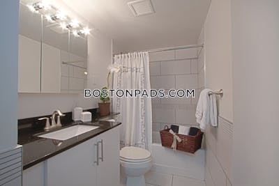 Mission Hill Luxury 1 Bed 1 bath available NOW on Tremont St in Boston!  Boston - $2,670