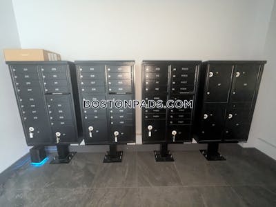 Brighton 3 Bed 2 Bath BOSTON Boston - $4,800 No Fee