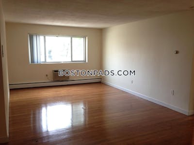 Allston 2 Bed 1 Bath BOSTON Boston - $2,950