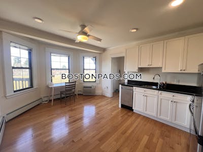 Newton Beautiful 1 Bed 1 Bath Apartment Available on Commonwealth Avenue in Newton  Chestnut Hill - $2,750
