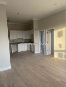 Allston 4 Beds 2 Baths Boston - $6,695 No Fee