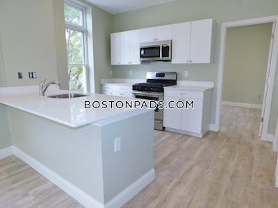Roxbury 3 Bed 2 Bath BOSTON Boston - $3,300 No Fee