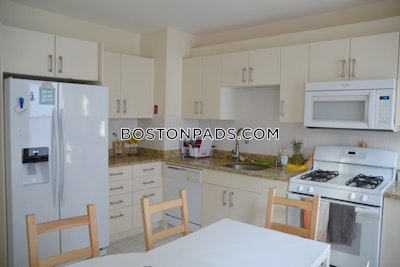Brighton 4 Beds 2 Baths Boston - $4,800 No Fee