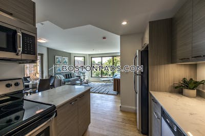 Allston 2 Beds 2 Baths Boston - $4,950