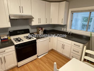 Brighton 5 Beds 2 Baths Boston - $7,000