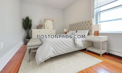 Roxbury 2 Bed 1 Bath BOSTON Boston - $3,995 No Fee