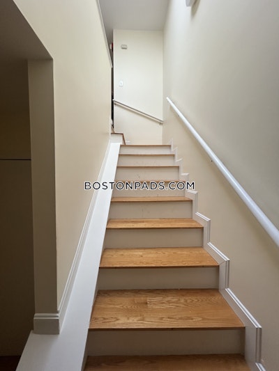 Roxbury 3 Bed 1 Bath BOSTON Boston - $2,950 No Fee