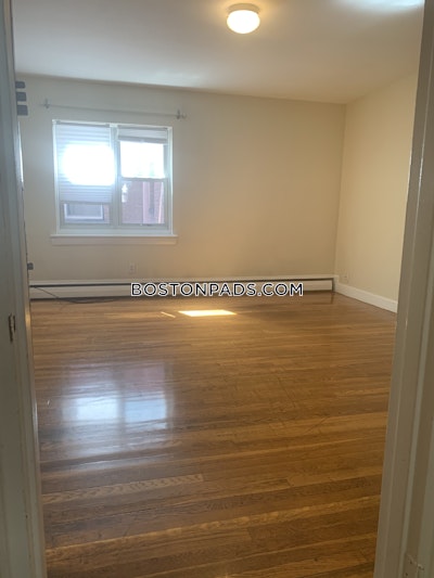 Brighton 2 Bed 1 Bath BOSTON Boston - $2,750 No Fee