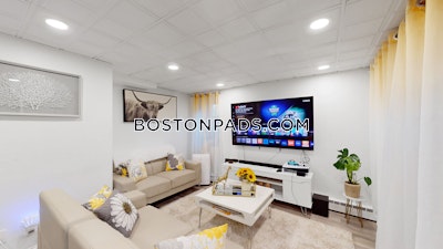 Allston 2 Beds 1 Bath Boston - $2,595