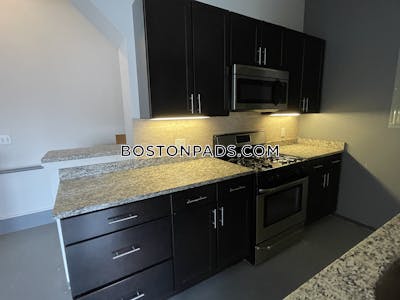 South End 1 Bed 1 Bath BOSTON Boston - $4,000 No Fee