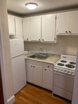 Allston/brighton Border Apartment for rent 1 Bedroom 1 Bath Boston - $1,700