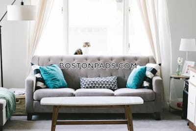 Allston/brighton Border Apartment for rent 2 Bedrooms 1 Bath Boston - $2,800 No Fee