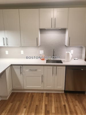 Allston/brighton Border Apartment for rent 3 Bedrooms 1 Bath Boston - $2,700