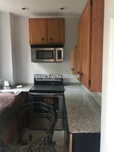 Back Bay 1 Bed 1 Bath Boston - $3,850