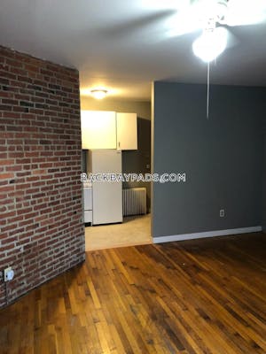 Back Bay Nice Studio on west Newton St Boston - $1,600
