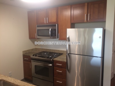 Dorchester Apartment for rent 1 Bedroom 1 Bath Boston - $2,560 No Fee