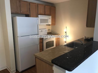 Dorchester Apartment for rent 2 Bedrooms 2 Baths Boston - $8,613 No Fee