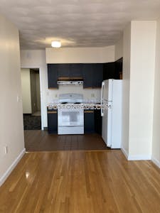 Downtown Apartment for rent 1 Bedroom 1 Bath Boston - $2,300 No Fee