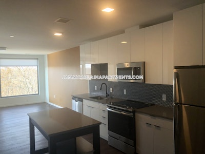 Jamaica Plain Apartment for rent 2 Bedrooms 1 Bath Boston - $4,907 No Fee