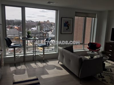 Brighton Apartment for rent 2 Bedrooms 2 Baths Boston - $5,739 No Fee
