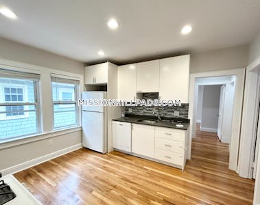 Mission Hill Apartment for rent 4 Bedrooms 1 Bath Boston - $5,600