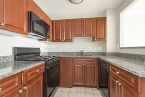 South Boston 1 Bed 1 Bath Boston - $3,100 No Fee