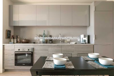South End Apartment for rent Studio 1 Bath Boston - $3,565