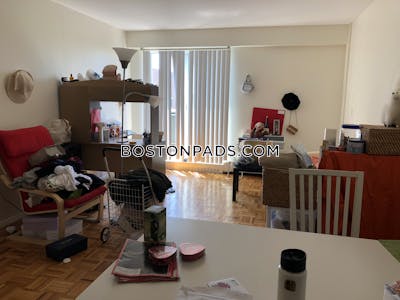 Brookline Apartment for rent 2 Bedrooms 1.5 Baths  Boston University - $4,100 No Fee