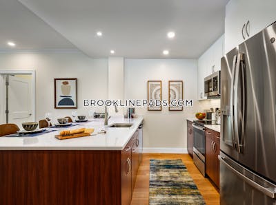 Brookline Apartment for rent 2 Bedrooms 2 Baths  Chestnut Hill - $4,235 No Fee