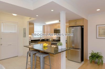 Brookline Apartment for rent 1 Bedroom 1 Bath Chestnut Hill - $3,820 No Fee