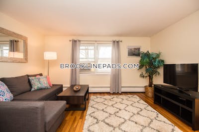 Brookline Apartment for rent 1 Bedroom 1 Bath  Chestnut Hill - $3,300