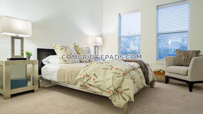 Cambridge 1 Bed 1 Bath  Alewife - $3,132