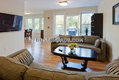 Cambridge Apartment for rent 3 Bedrooms 2 Baths Mt. Auburn/brattle/ Fresh Pond - $5,500 No Fee
