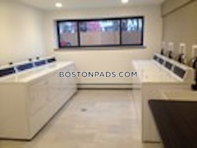 Cambridge Apartment for rent 1 Bedroom 1 Bath Mt. Auburn/brattle/ Fresh Pond - $2,600 No Fee