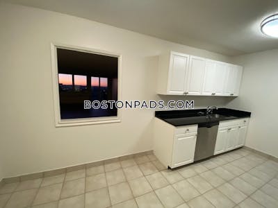 West End Apartment for rent 1 Bedroom 1 Bath Boston - $3,530