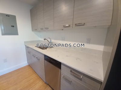 Allston Apartment for rent 2 Bedrooms 2 Baths Boston - $4,750