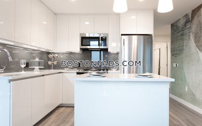 West End Apartment for rent 2 Bedrooms 2 Baths Boston - $10,370