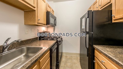 Cambridge Apartment for rent Studio 1 Bath  Porter Square - $2,430 No Fee