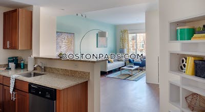 Dorchester Studio  Luxury in BOSTON Boston - $2,460 No Fee
