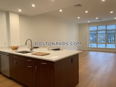 Brookline Apartment for rent 1 Bedroom 1 Bath Chestnut Hill - $3,280 No Fee